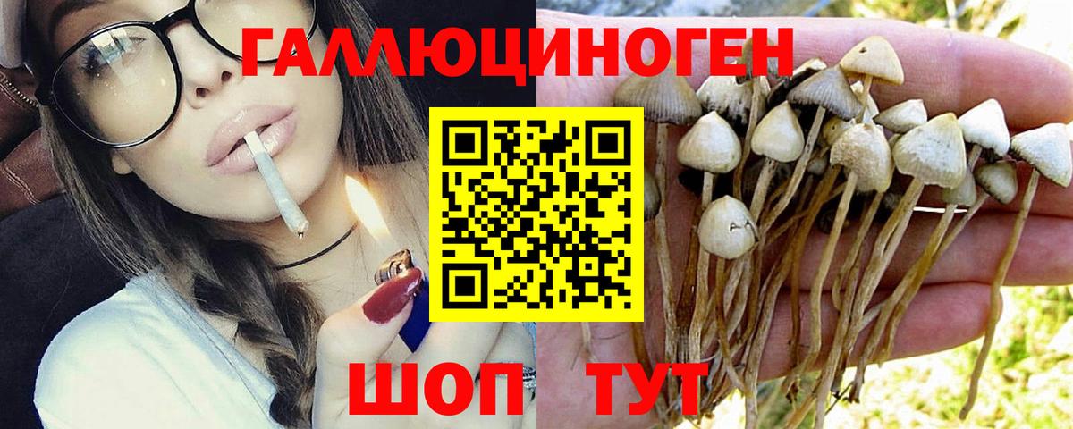 Codein Белогорск